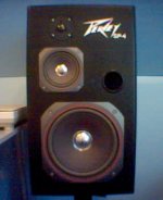 peavey.jpg