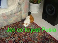 9_291.jpg