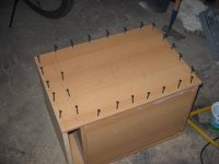 img_0020_562.jpg