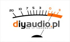 diyaudio2_951.jpg