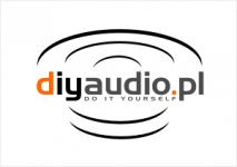 diyaudio_113.jpg