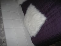 IMG_3529.JPG