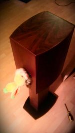 uploadfromtaptalk1351151154598.jpg