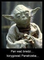 Yoda_SWSB.jpg