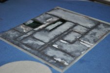 DSC_6893.jpg