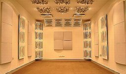 vicousticroom1.jpg