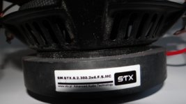 DSC03939a.jpg