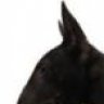 coobah