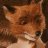 Fox...